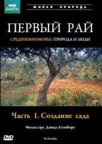 Постер «Первый Рай»