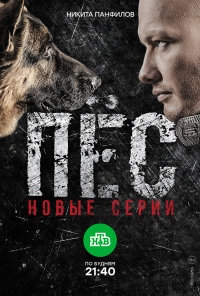 Постер «Пес»